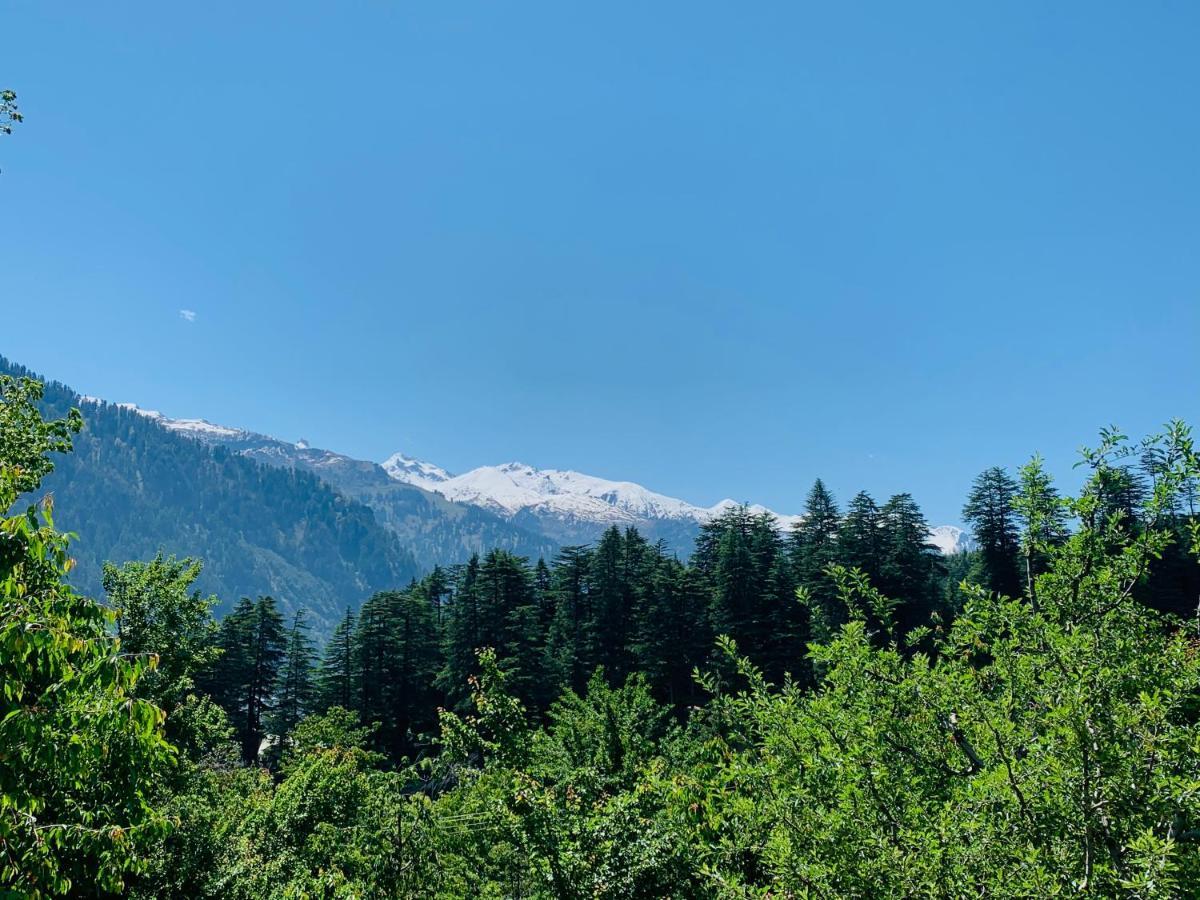 Jungle By Sturmfrei Manali Hostel Exterior foto